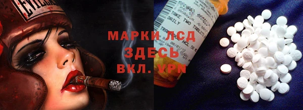 PSILOCYBIN Абаза