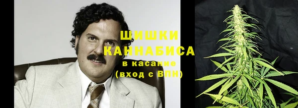мяу мяу кристалл Няндома