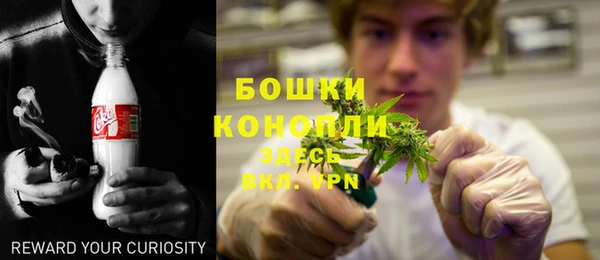 PSILOCYBIN Абаза