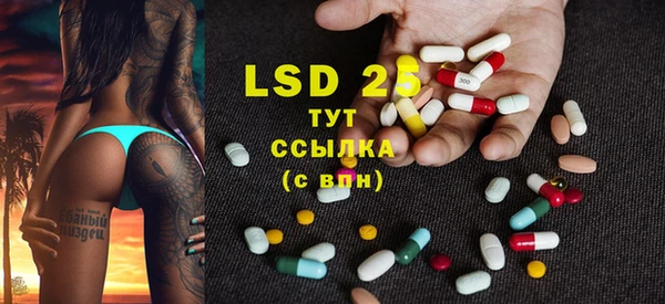 PSILOCYBIN Абаза