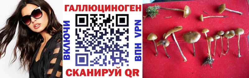 Галлюциногенные грибы прущие грибы  наркота  Починок 